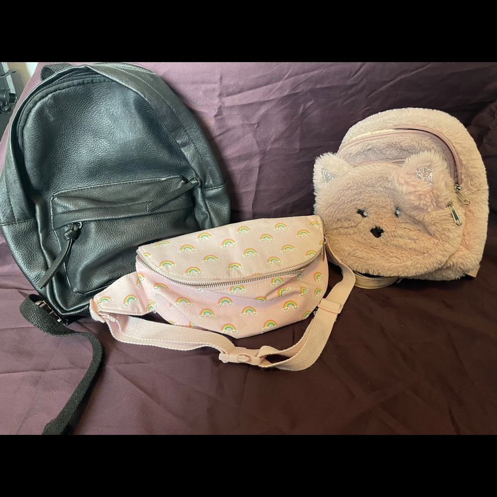 3 bags ( 2 back packs 1 waist )